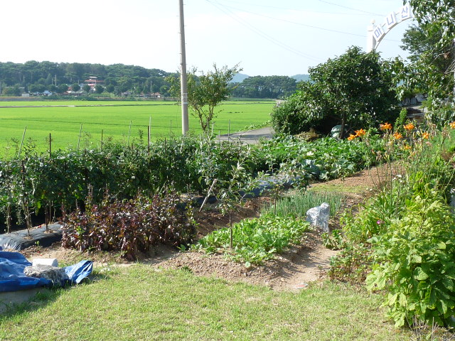 엠마우스 노인요양공동생활가정 이미지 10