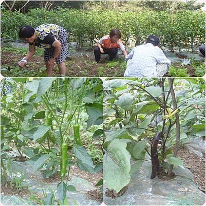 해피빌요양원 이미지 18