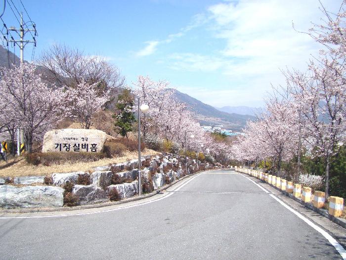 기장실버홈 이미지 14