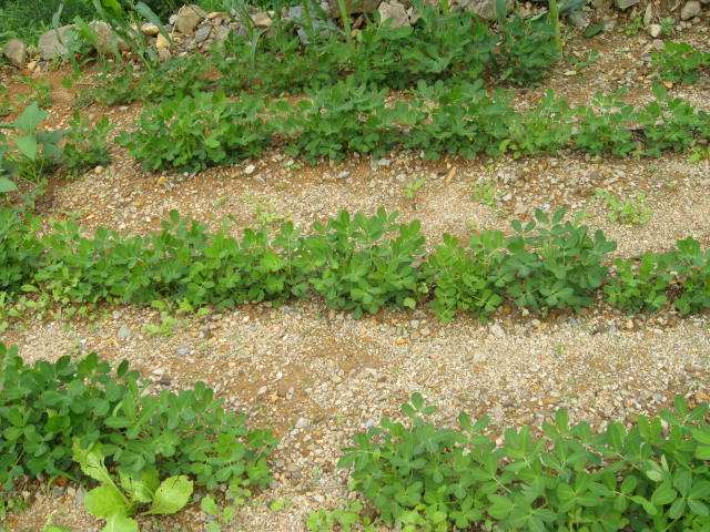 사평예랑의집 이미지 30