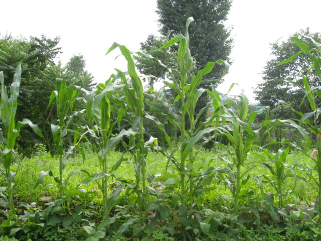 사평예랑의집 이미지 29