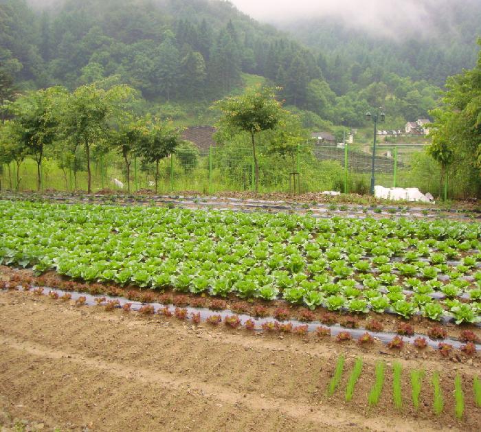 홍천노인전문요양원 이미지 5