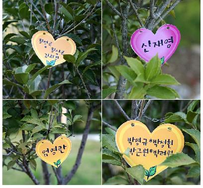 남해창선노인전문요양원 이미지 21