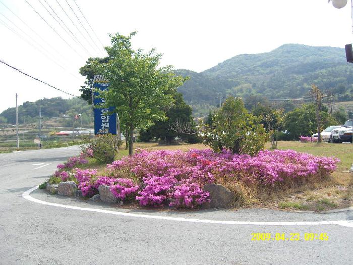 청해요양원 이미지 13