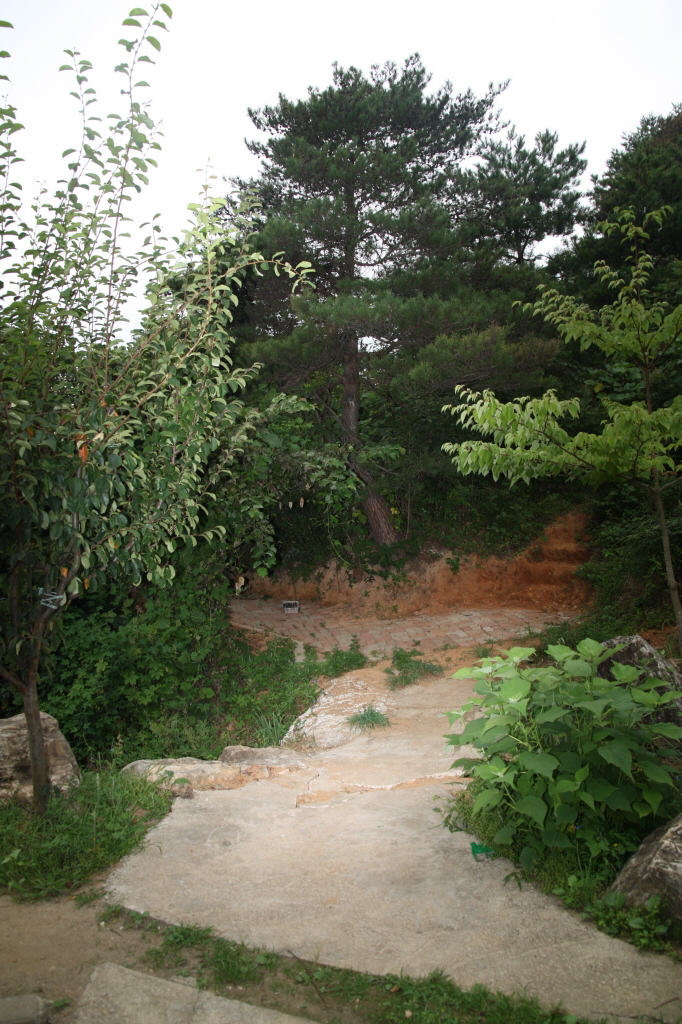 이레마을노인요양원 이미지 5