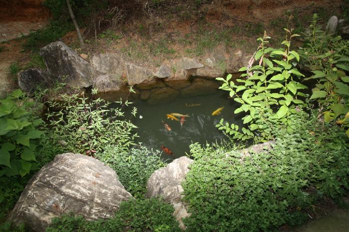 이레마을노인요양원 이미지 4