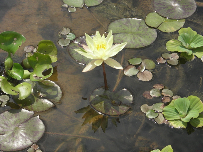 수완실버빌 이미지 12