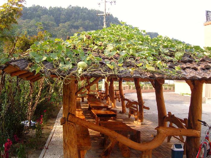 금성노인요양원 이미지 19