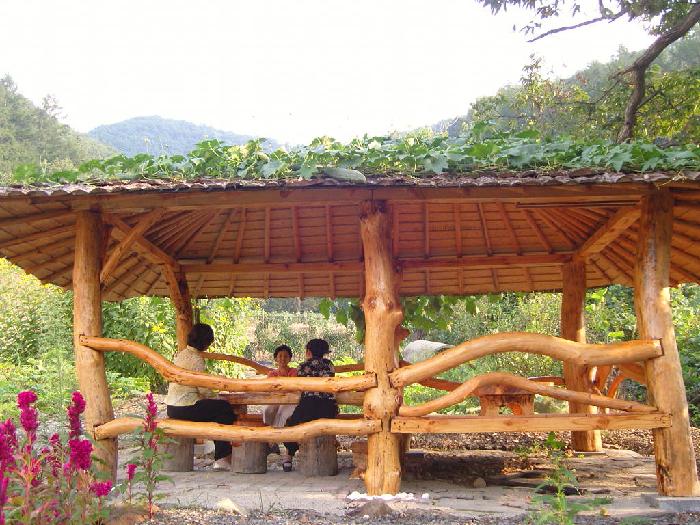 금성노인요양원 이미지 18