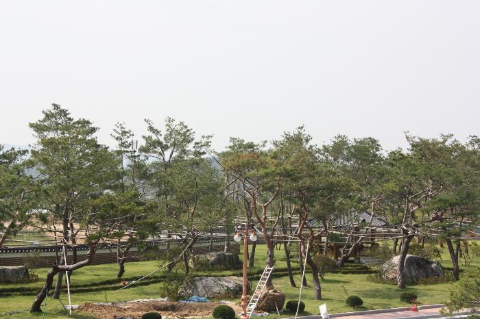 대진요양시설 이미지 5