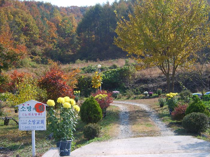 소망의집 이미지 6