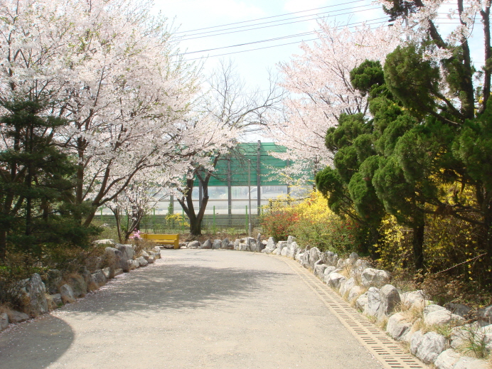 내리요양원 이미지 7