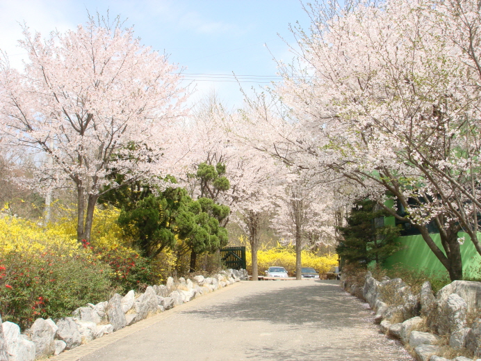 내리요양원 이미지 6