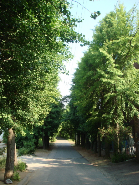 내리요양원 이미지 5