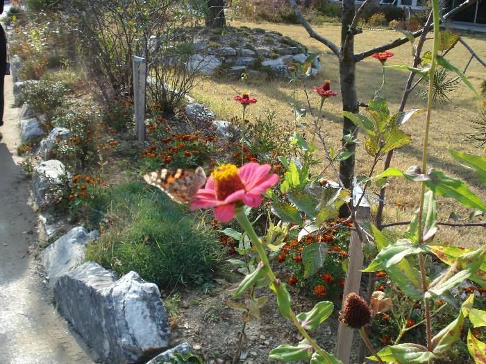 희락원 이미지 11