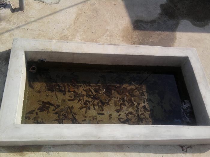 모정의집 이미지 5