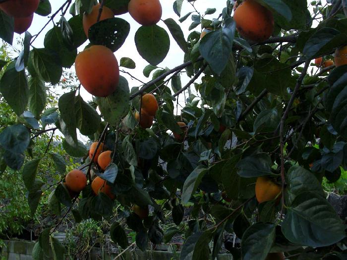 만민의집 이미지 7