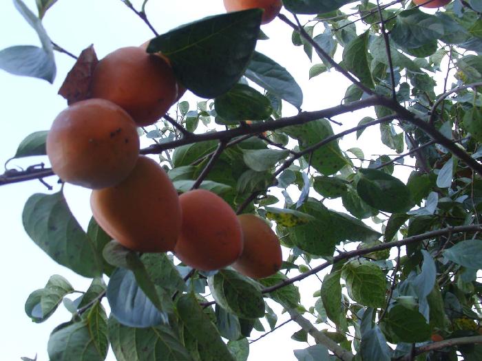 만민의집 이미지 6