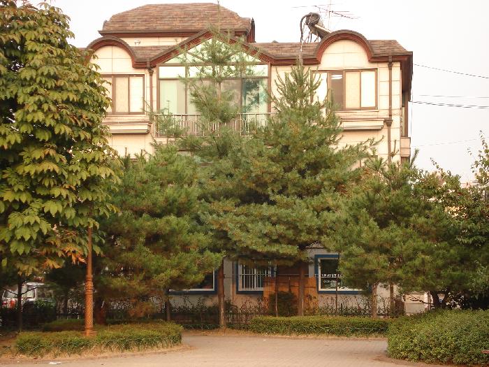 일산노인복지센터 이미지 15