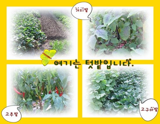 명진노인요양원 이미지 16