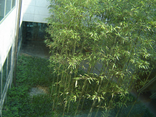 서대문노인복지관요양센터 이미지 14