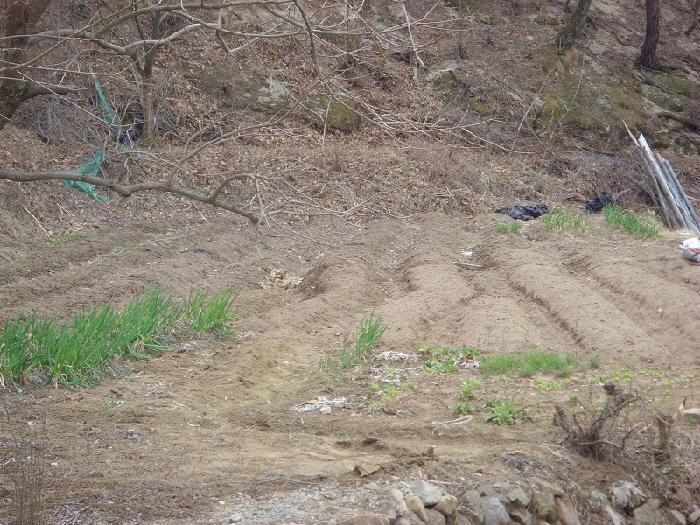 온정너싱홈 이미지 7