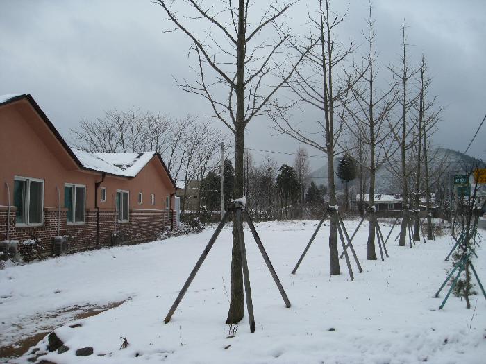 사평예랑의집 이미지 25