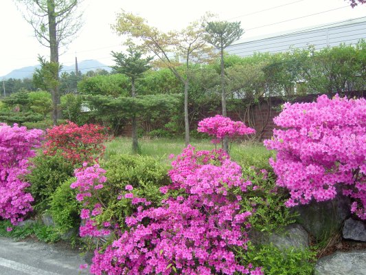 충주시니어빌리지 이미지 17