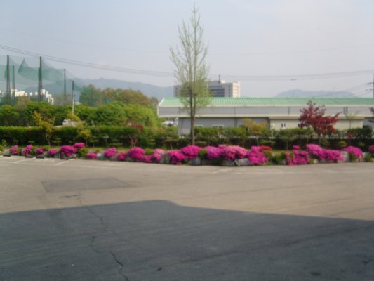 충주시니어빌리지 이미지 16