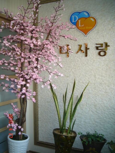 다사랑효마을요양원 이미지 25