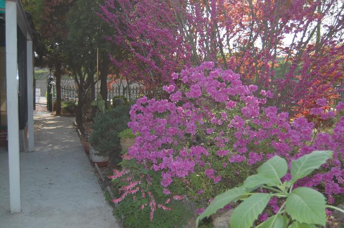 일산무지개마을 이미지 5