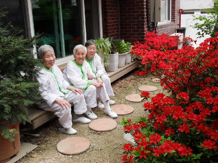 녹번실버 이미지 4