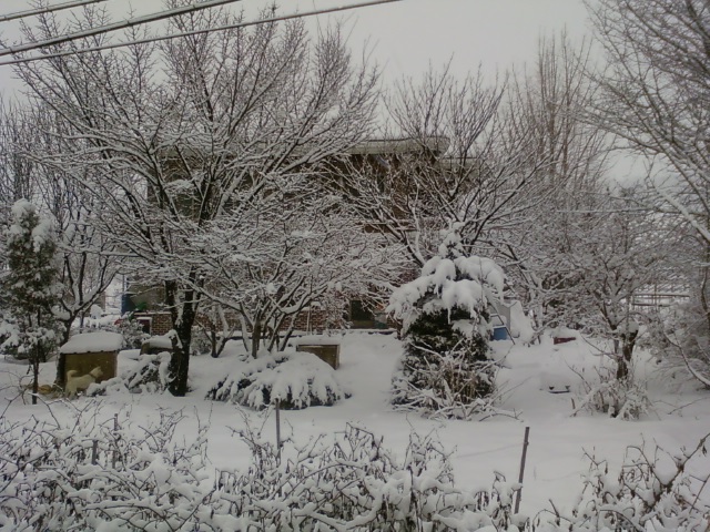 행복노인복지센터 이미지 4