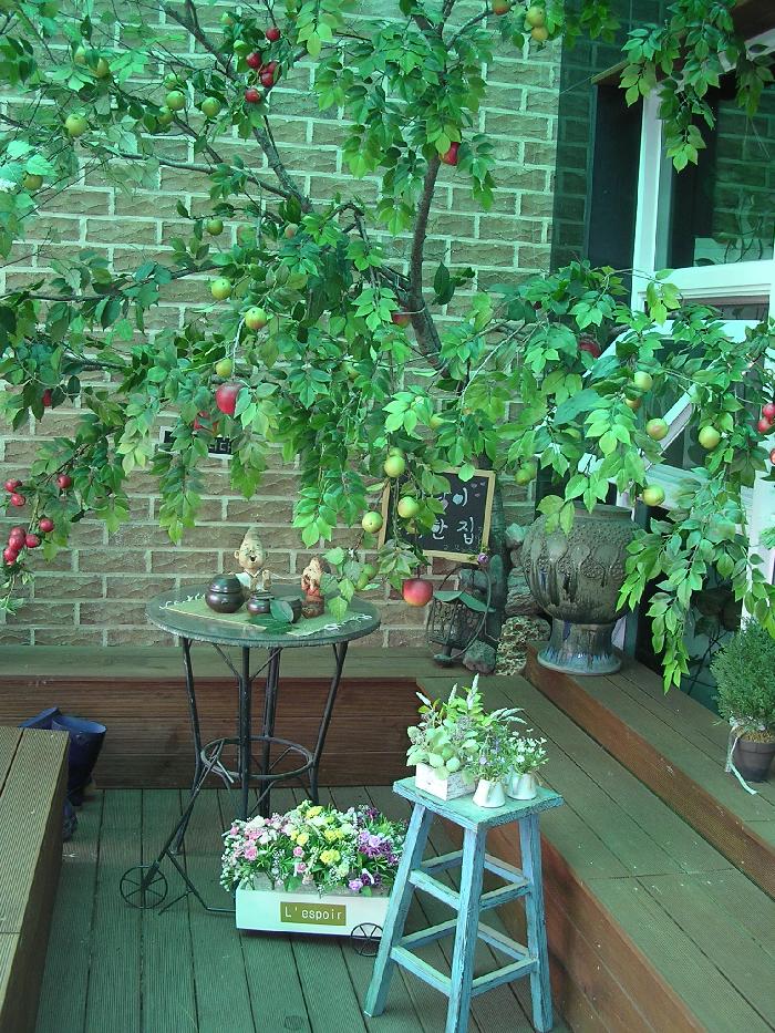 사랑이 가득한 집 이미지 20