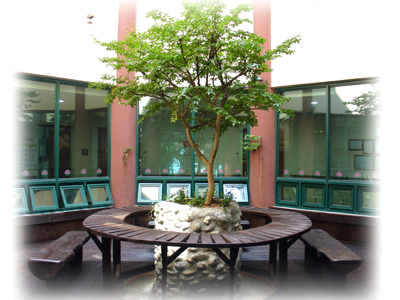 상락정배산실버빌 이미지 9