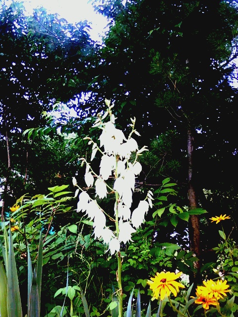 한빛실버카운티 이미지 8