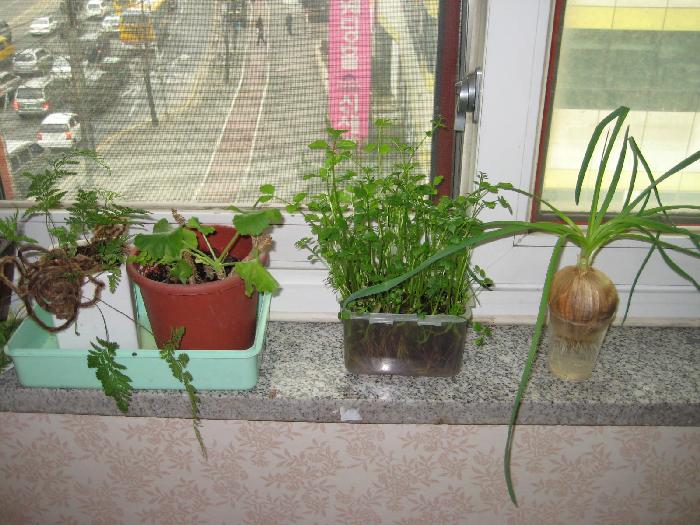 인제노인요양원 이미지 11