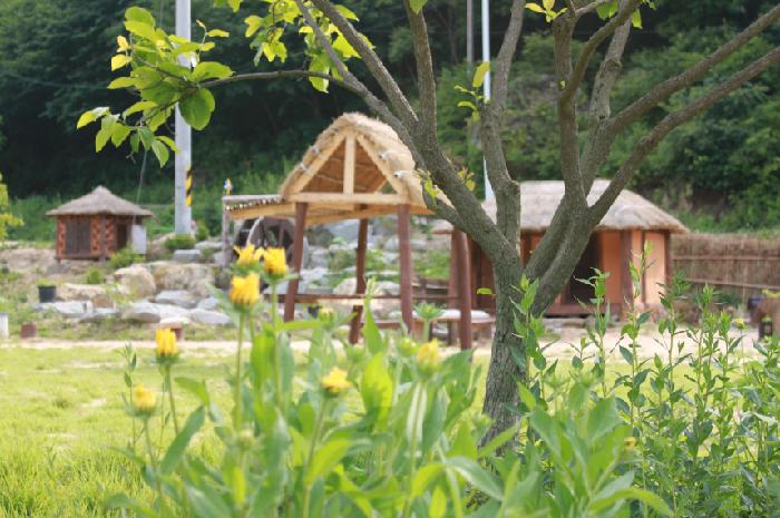 들꽃마을 이미지 4