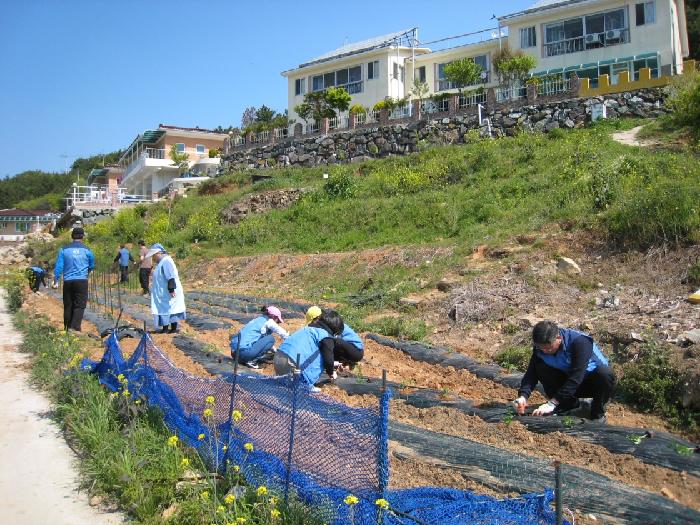 파랑포안나의집 이미지 18