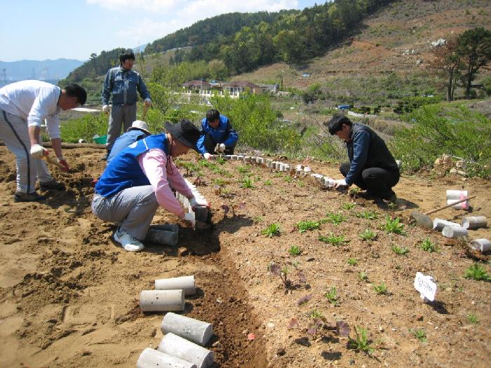 파랑포안나의집 이미지 17