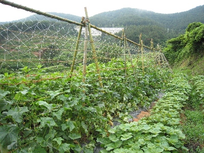 파랑포안나의집 이미지 15