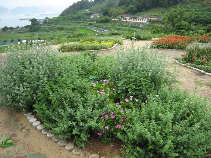 파랑포안나의집 이미지 14