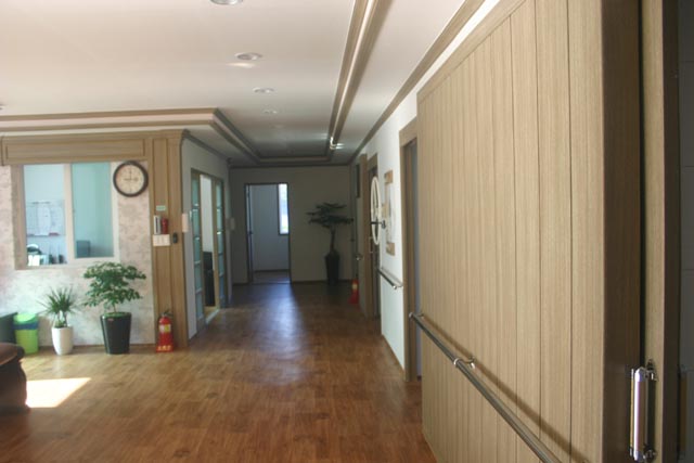 느티나무 이미지 10