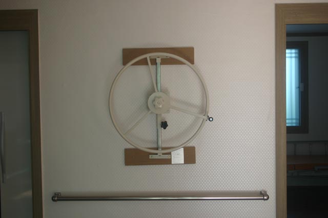 느티나무 이미지 9