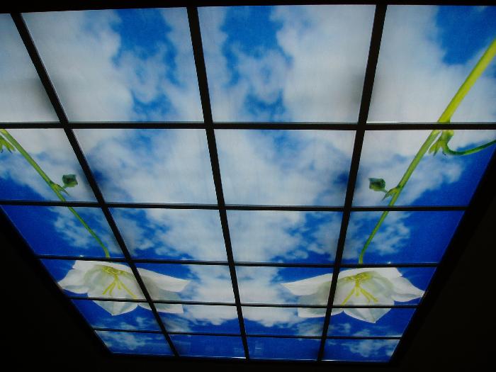 수산나요양원 이미지 6