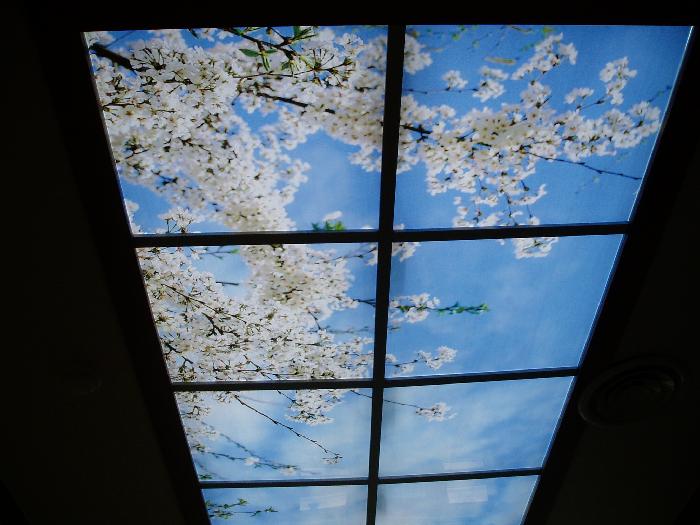 수산나요양원 이미지 5