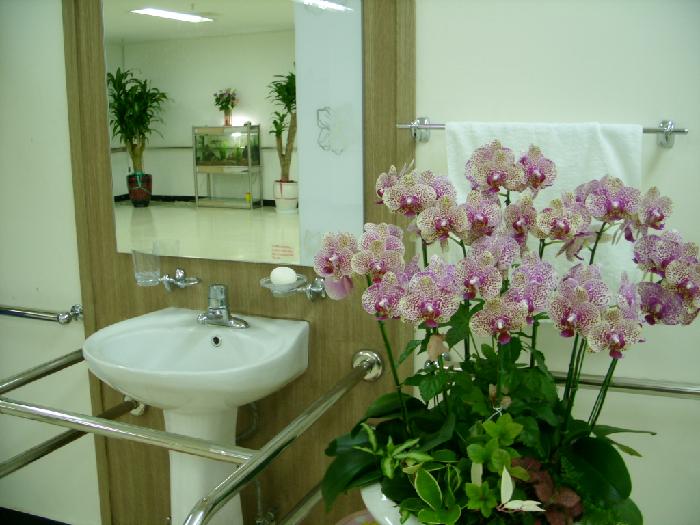 므두셀라실버타운 이미지 6