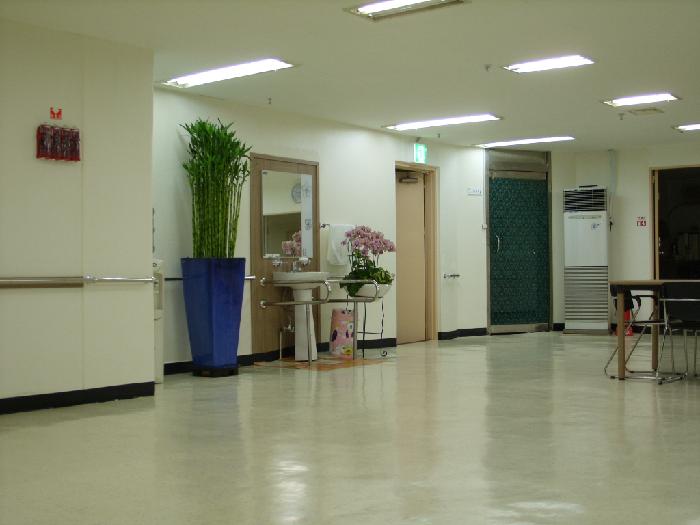 므두셀라실버타운 이미지 5