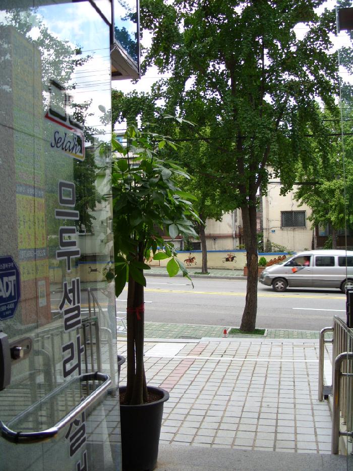 므두셀라실버타운 이미지 2