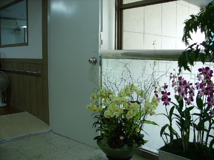 므두셀라실버타운